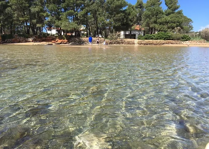 Suzi Apartmani